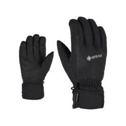 Ziener GARWEN GTX Glove Ski Alpine